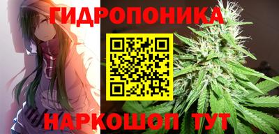 прущие крисы Кингисепп