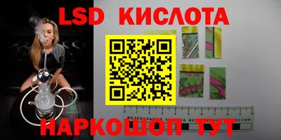 прущие крисы Кингисепп