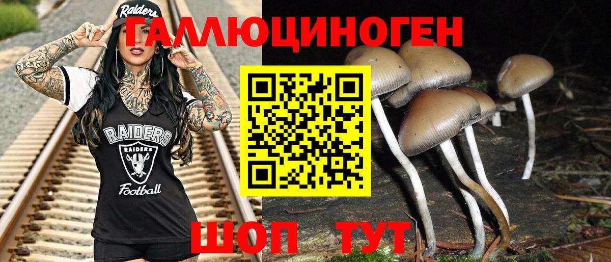 Псилоцибиновые грибы Magic Shrooms  Вход с VPN  Валуйки 